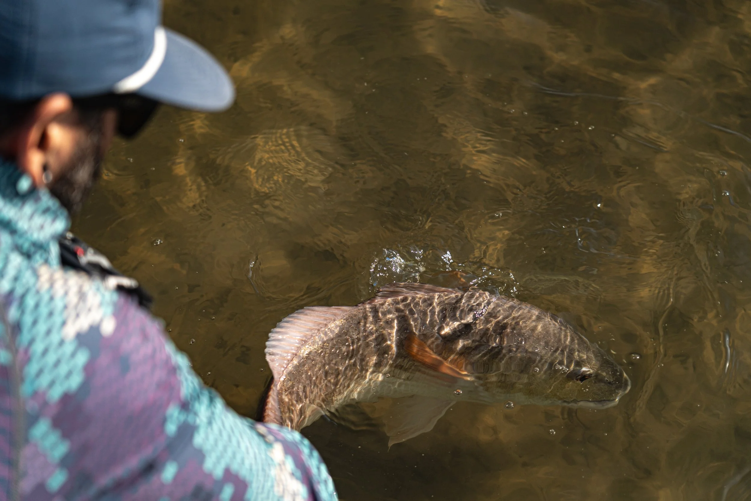 Redfish and coastal waters — WhippyStik photography